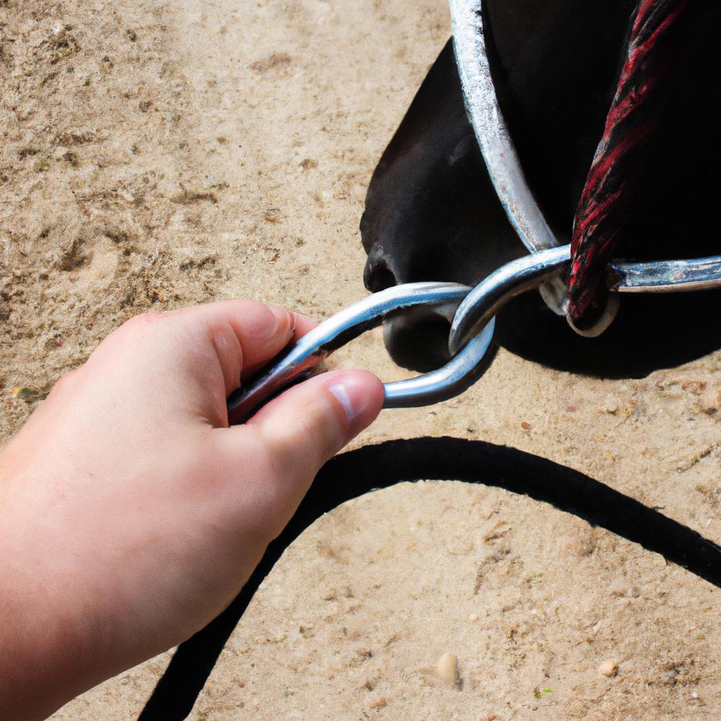 Person holding a horse's reins